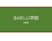 【Reviews】ＳＡＥＬＵ学院/SAELU Gakuin